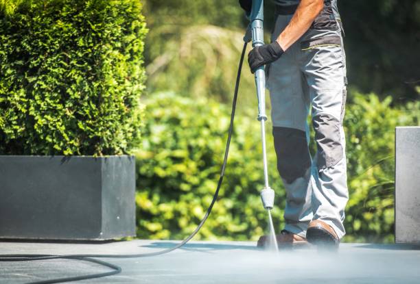 Best Fence Cleaning  in Grand Blanc, MI